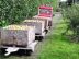 Electric tractor Alke'