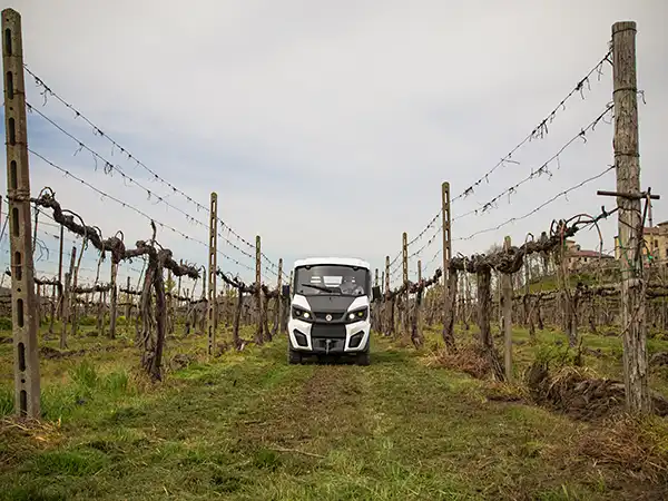 Elektrofahrzeuge für Weinberge