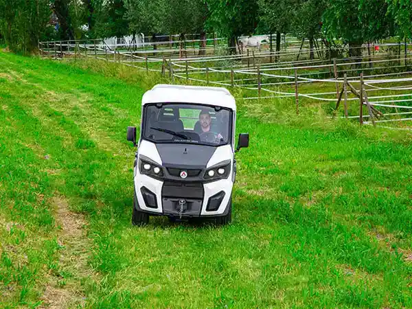 Elektrofahrzeuge für Parks und Landgüter