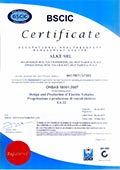 Alke Zertifikat OHSAS 18001