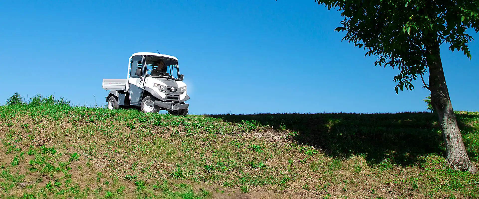 What is the price of a golf car? - Find out in detail how to understand it!