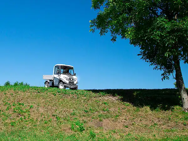 What is the price of a golf car? - Find out in detail how to understand it!