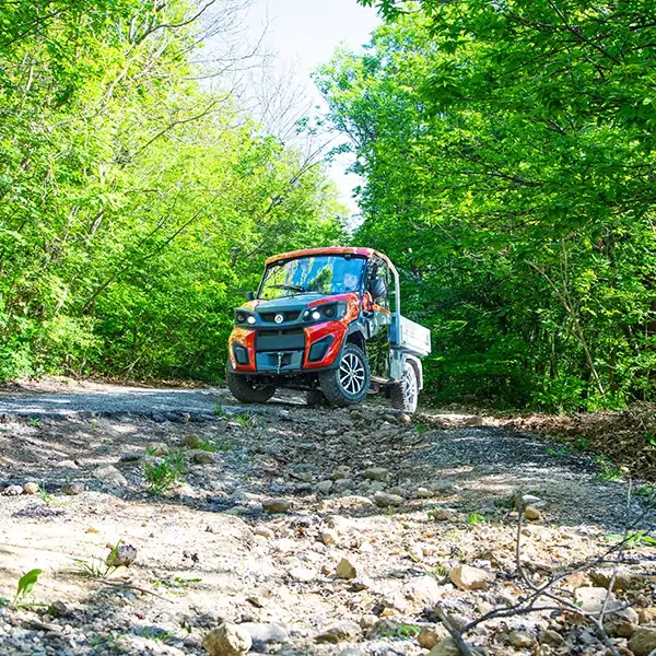 Mountain off-road electric vehicles