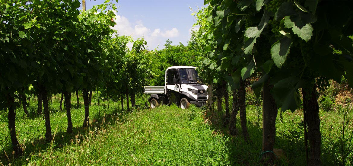 Eco-friendly all-terrain vehicles for organic vineyards Alke'