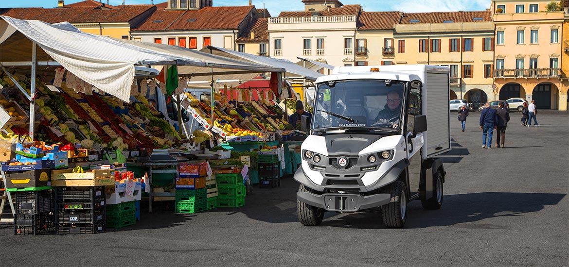 electric vehicle food transport