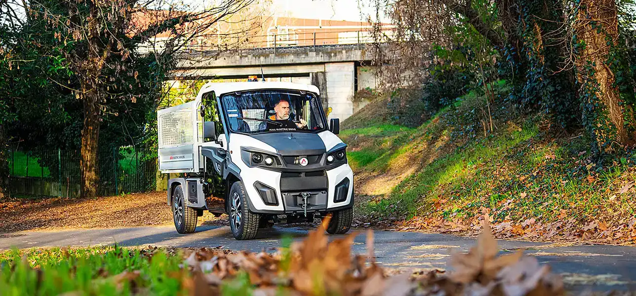 Electric vehicle with mesh side extensions