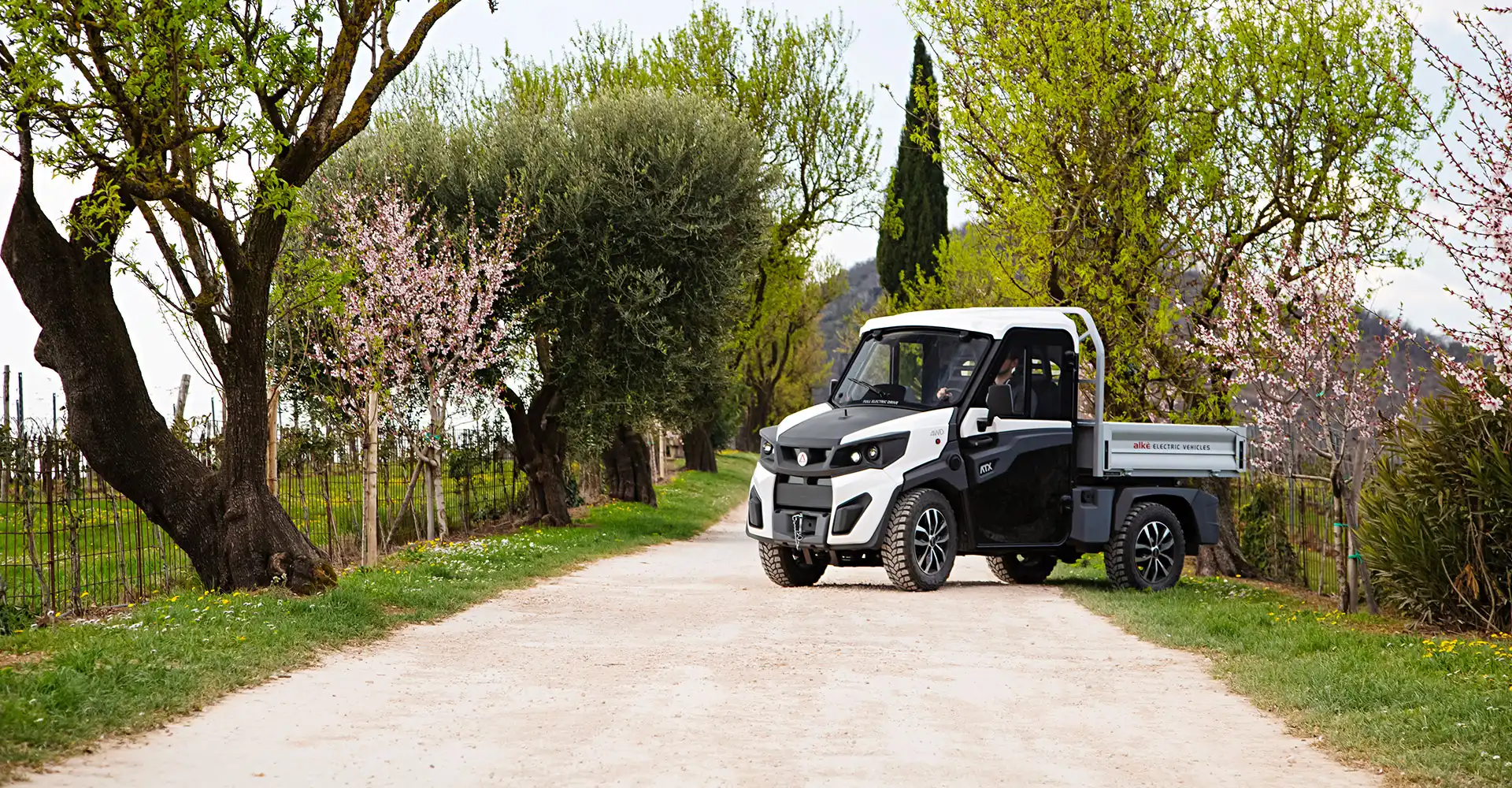 Off road electric vehicles ATX 480