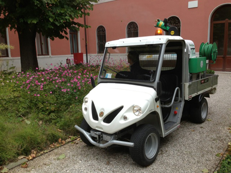 transport venice electric vehicle